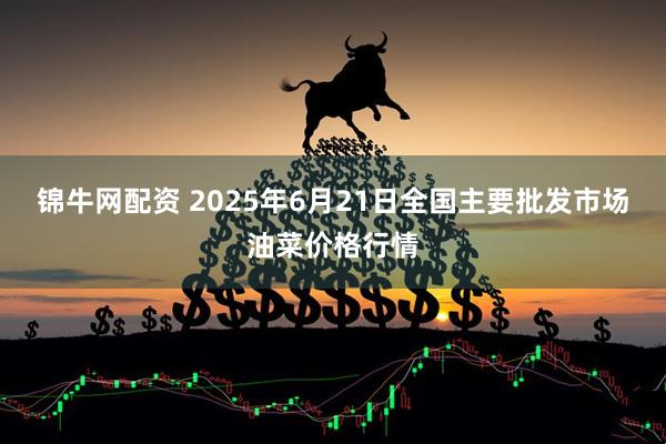 锦牛网配资 2025年6月21日全国主要批发市场油菜价格行情