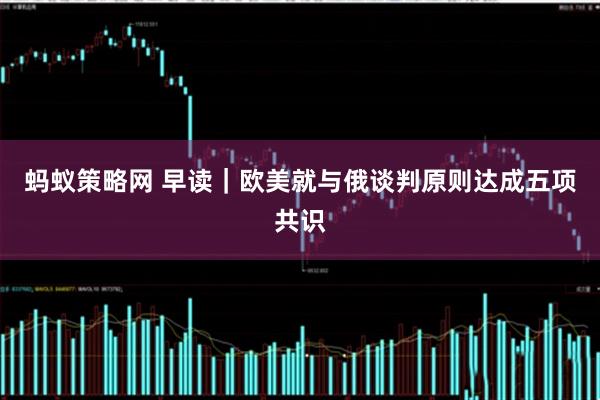 蚂蚁策略网 早读｜欧美就与俄谈判原则达成五项共识