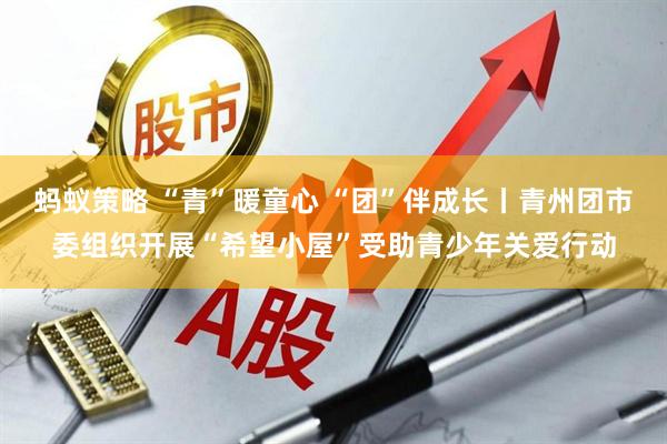 蚂蚁策略 “青”暖童心 “团”伴成长丨青州团市委组织开展“希望小屋”受助青少年关爱行动